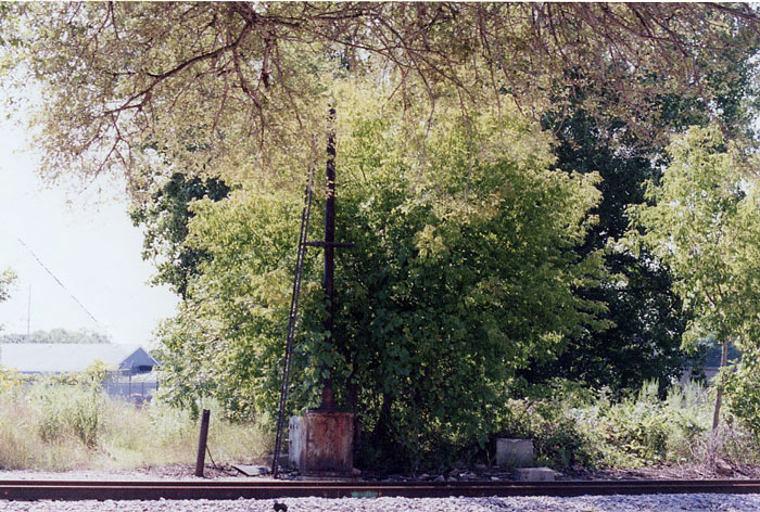 156.jpg - Almost lost in the trees is an old C&NW signal at the Kenosha, WI Farm Yard on the KD Line, September 2009.