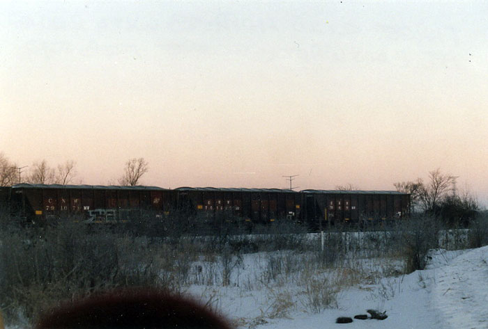 172.jpg - Three C&NW hopper cars full of ballast for track repairs at the February 2010 derailment.